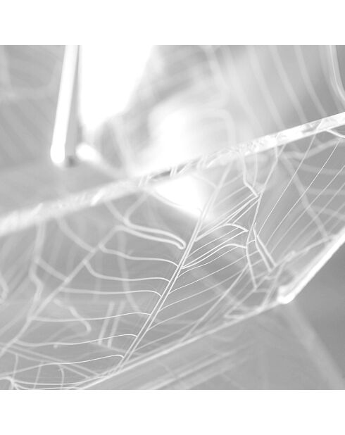 Panera Bon Ton transparente - 22x22x8,6 cm