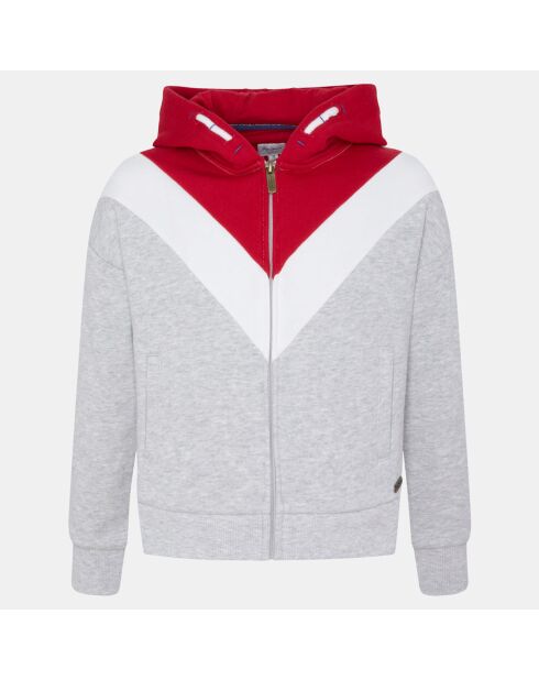 Sweat zippé en Coton à capuche gris