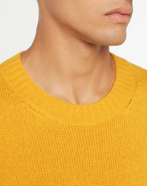 Pull en Laine mélangée ras de cou Softwool jaune foncé