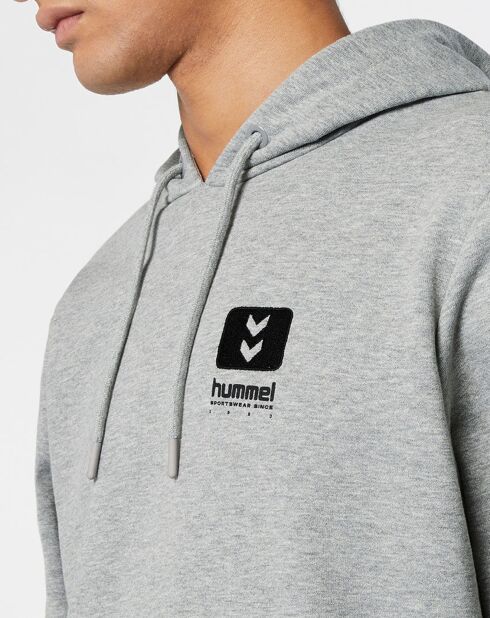 Sweat hoodie Graham en Coton mélangé gris