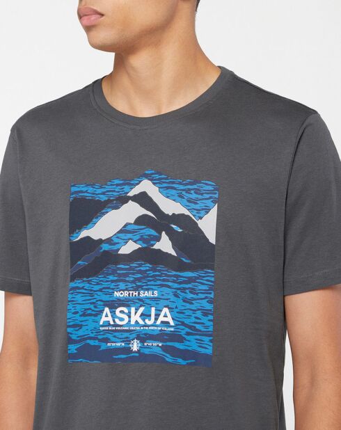T-Shirt 100% Coton Bio Graphic gris