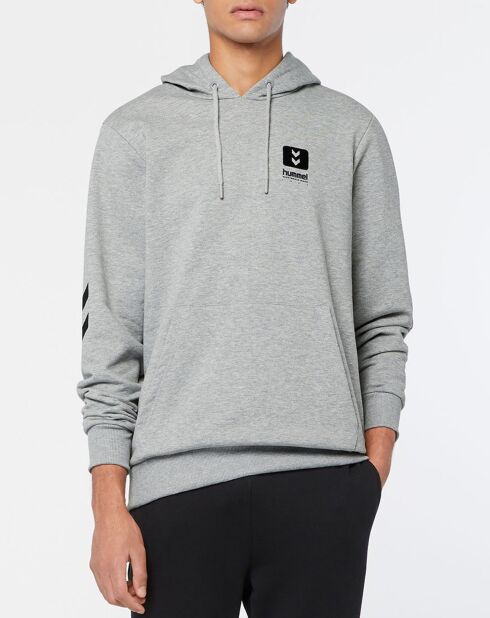 Sweat hoodie Graham en Coton mélangé gris