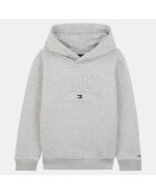 Sweat en Coton biologique mélangé à capuche et logo gris