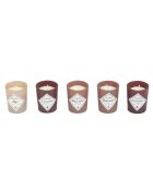 Coffret 5 bougies parfumées Rose magnolia camélia - 1 mèche 31h