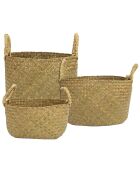 3 Paniers tressés avec anse marron - 19x30.5x30.5 cm