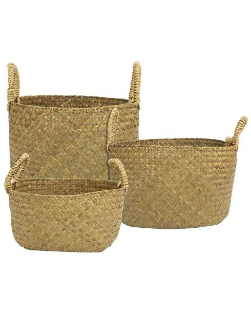 3 Paniers tressés avec anse marron - 19x30.5x30.5 cm