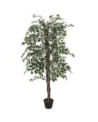 Plante artificielle Feuillage panache verte - 170x80x80 cm