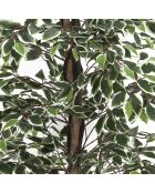 Plante artificielle Feuillage panache verte - 170x80x80 cm