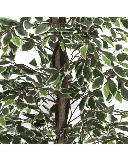 Plante artificielle Feuillage panache verte - 170x80x80 cm