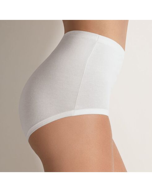 Culotte en coton taille haute Cassiane blanche