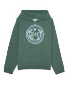 Sweat en Coton Taia Hoody délavé vert amande