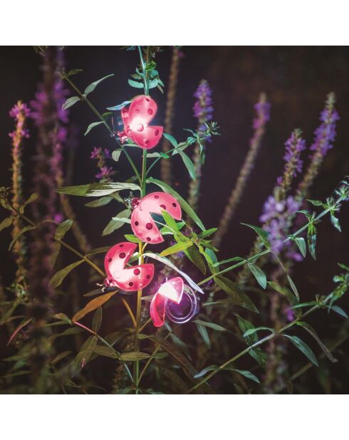 Aufsteckbarer Solar-Marienkäfer - 3,5x6x5,8 cm