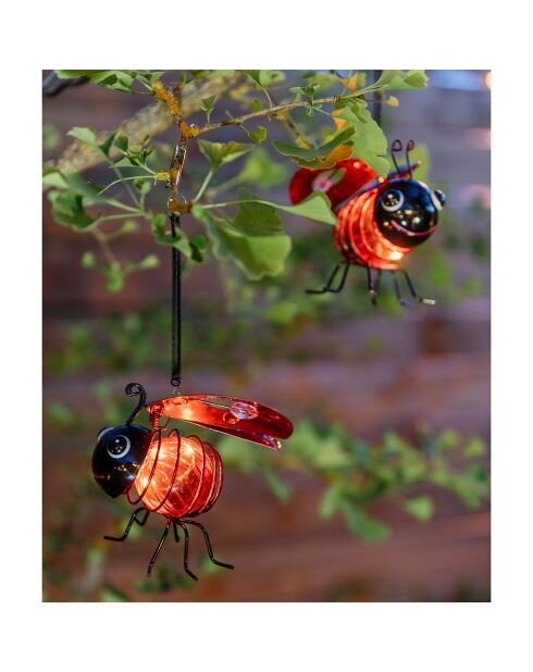 Coccinelle solaire - 13x20 cm