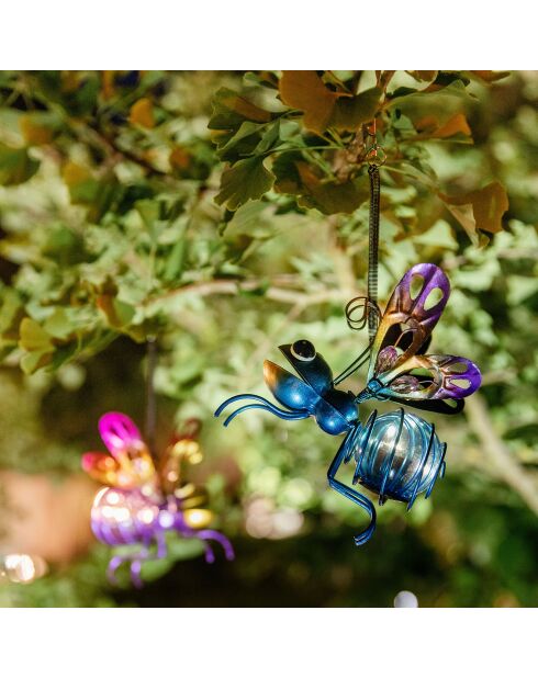 Sonnenschmetterling - 12x18 cm