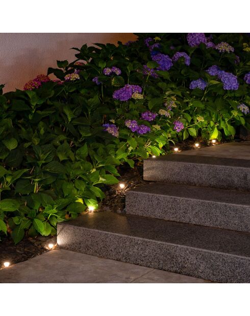 Guirlande solaire à planter 10 LED - 5m