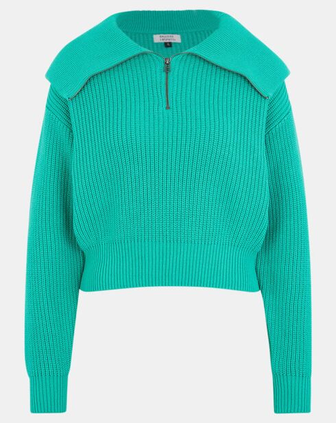 Pull en Grosse maille de Coton Oeko-Tex® Blaise Col zippé vert