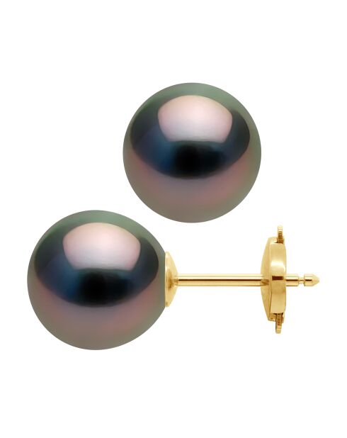 Prestige-Ohrringe aus Gelbgold und Tahiti-Zuchtperlen in Regenbogenfarben