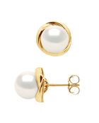 Geelgouden en witte parelmoer gekweekte zoetwaterpareloorbellen