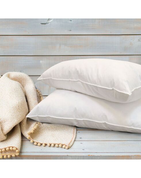 4 Oreillers Alaska à Fibres creuses polyester blancs - 50x70 cm