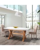 2 Chaises en velours Lella grises - 100x46x45 cm