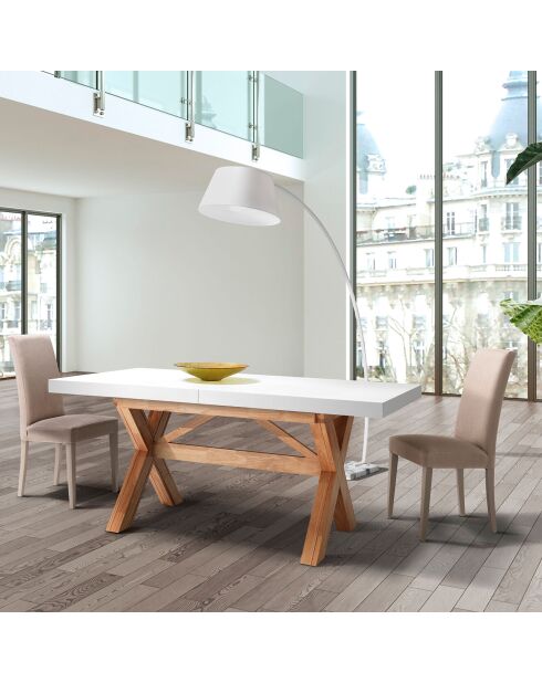 2 Chaises en velours Lella grises - 100x46x45 cm