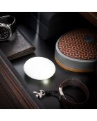 Lumière LED Intelligente pour sacs blanche