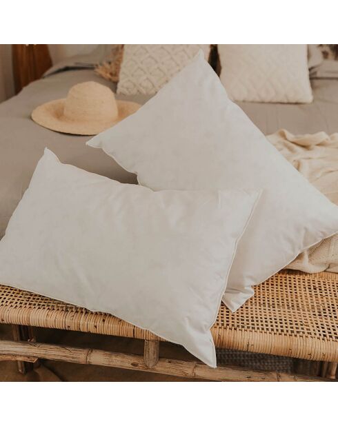 2 Oreillers Natura à Duvet & Plumes blancs - 45x70 cm