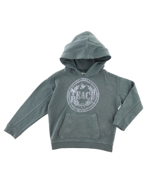 Sweat en Coton Taia Hoody délavé vert amande