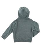 Sweat en Coton Taia Hoody délavé vert amande