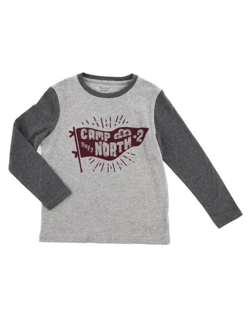 T-Shirt Camp North en Coton gris perle/anthracite