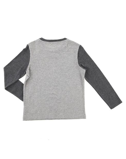 T-Shirt Camp North en Coton gris perle/anthracite