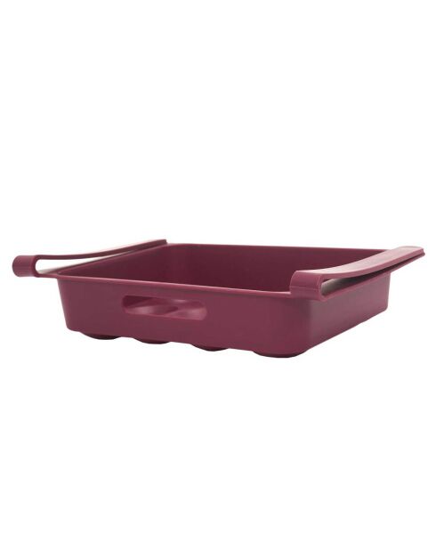 Koelkastopslag voor 12 eieren in willekeurige kleuren - 26x18 cm