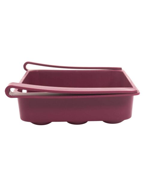 Koelkastopslag voor 12 eieren in willekeurige kleuren - 26x18 cm