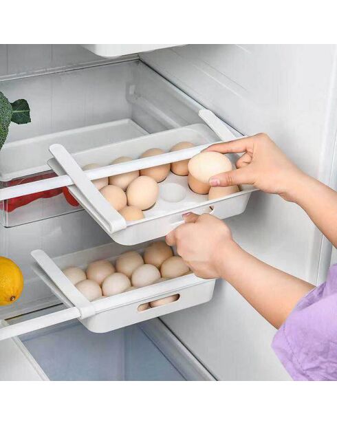 Koelkastopslag voor 12 eieren in willekeurige kleuren - 26x18 cm