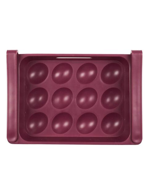 Koelkastopslag voor 12 eieren in willekeurige kleuren - 26x18 cm