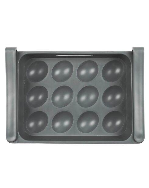 Koelkastopslag voor 12 eieren in willekeurige kleuren - 26x18 cm