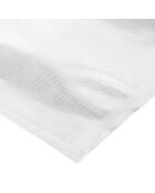2 Sacs sous-vide alimentaire transparents - 30x28x28 cm