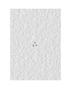 Support mural Tosca blanc - 62.5x9.5x18 cm