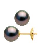 Prestige-Ohrringe aus Gelbgold und runden schwarzen Tahiti-Zuchtperlen