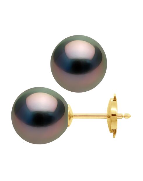Prestige-Ohrringe aus Gelbgold und runden schwarzen Tahiti-Zuchtperlen