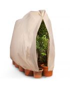 2 Housses d'hivernage pour plantes beiges - 200x240 cm