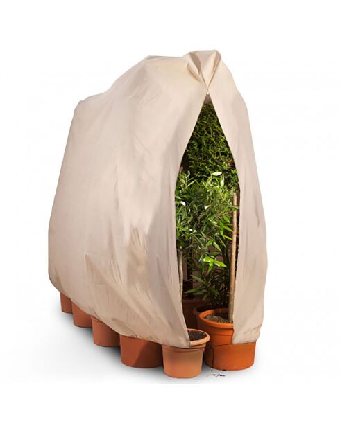 2 Housses d'hivernage pour plantes beiges - 200x240 cm
