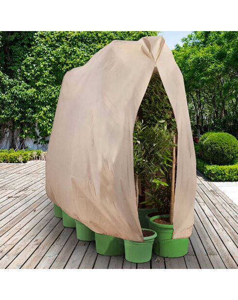 2 Housses d'hivernage pour plantes beiges - 200x240 cm