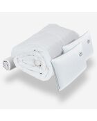 Ensemble ACC PAD 2 Oreillers + Couette + Protège Matelas blanc/bleu - 140x190 cm