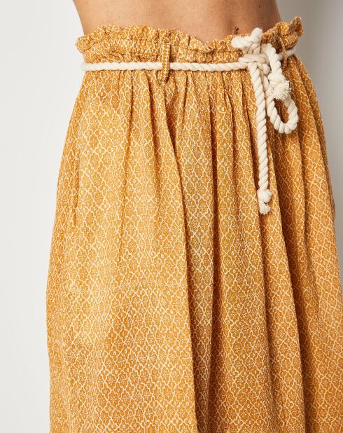 Falda Sedum albaricoque