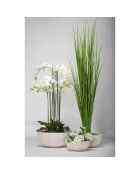 Plante d'eau jonc PVC Aquaplanter verte - D.30x180 cm