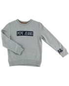 Sweat en Coton Logo Basic gris