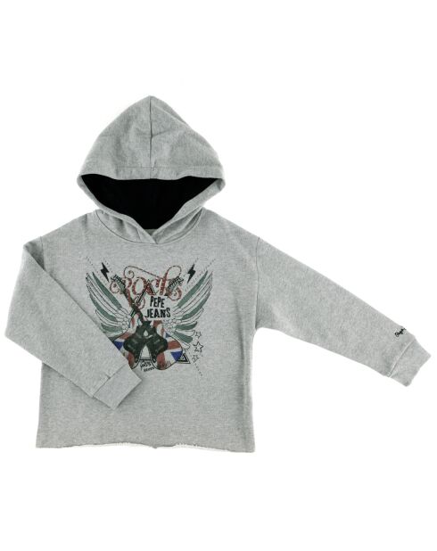 Sweat à capuche en Coton Guitare gris