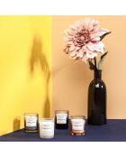 Coffret 4 Bougies parfumées Harmony - 1 mèche 15h