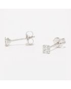 Simply You Zirkonium witgouden oorbellen